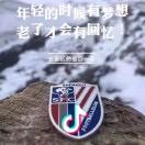 忽如一夜春风来，千树万树梨花开