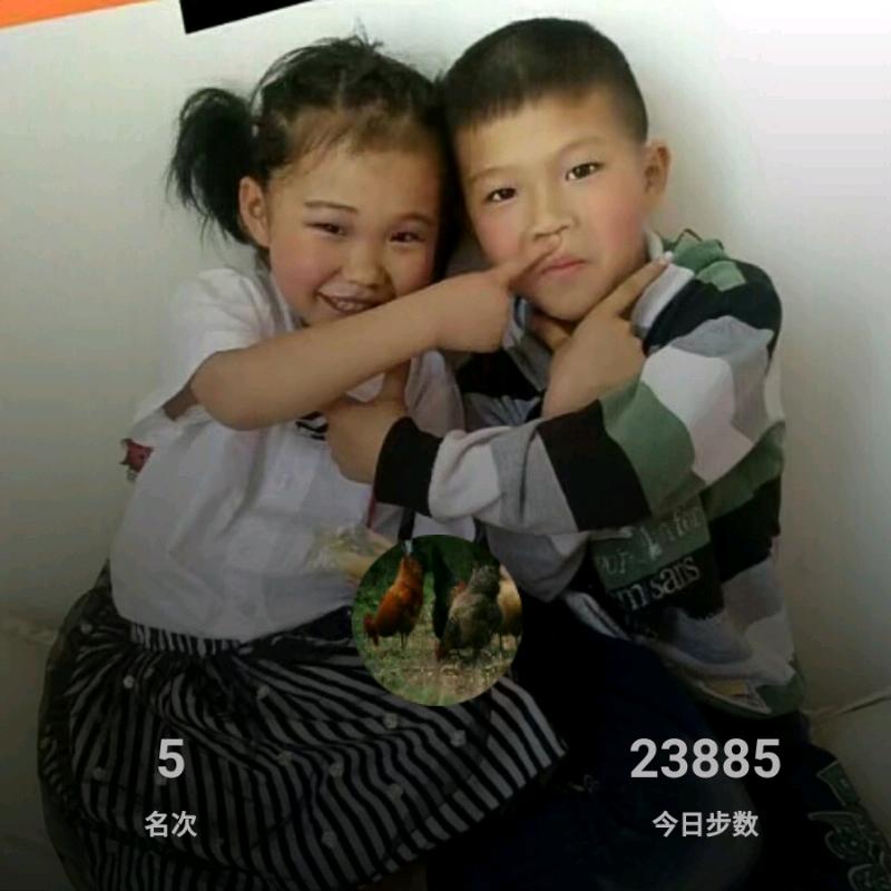 禽苗养殖开拓者