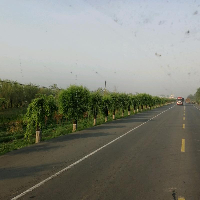 小伟的美丽天空