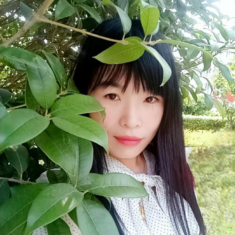一帘幽梦