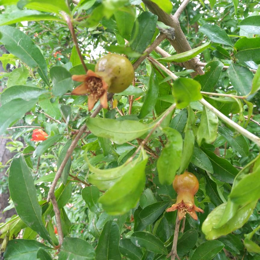 ~《小打小闹小幸福》~