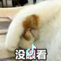 广东的冬天没有雪