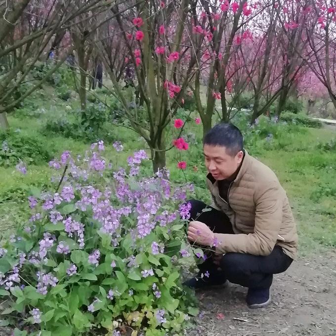 被遺忘的回憶