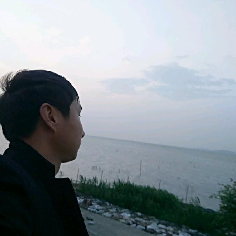 迷雾麋鹿迷了路