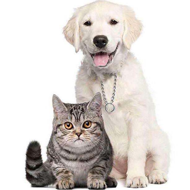 邯郸市复兴区鸿苑宠物诊所