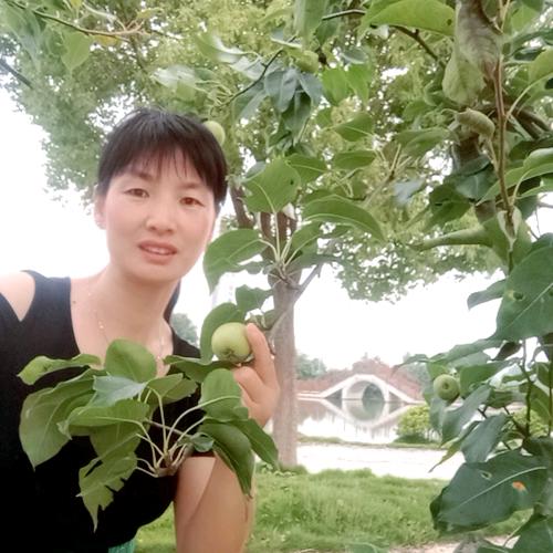 小梅