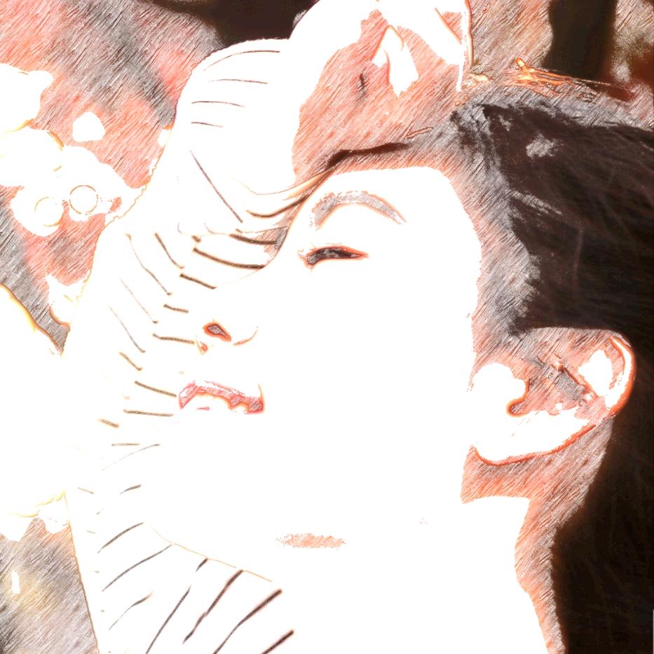 云南小蝉