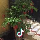 高淳荣华楼罗姐姐