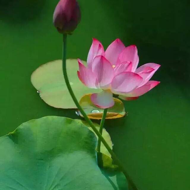 琴琴❤