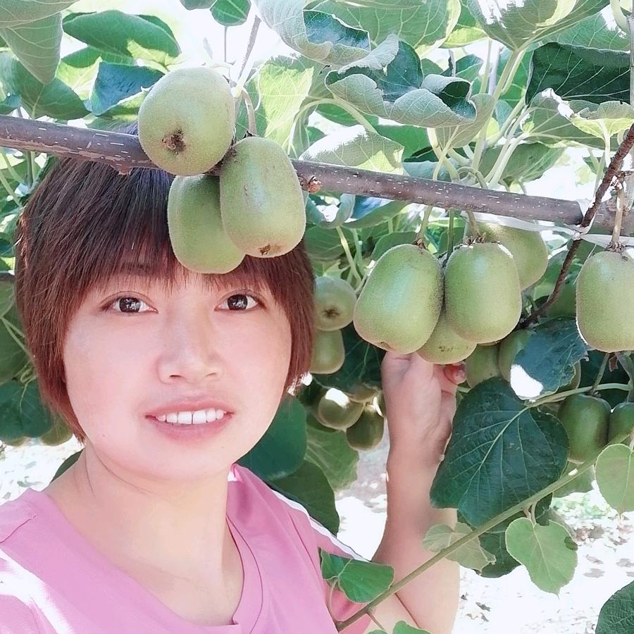 孙凤