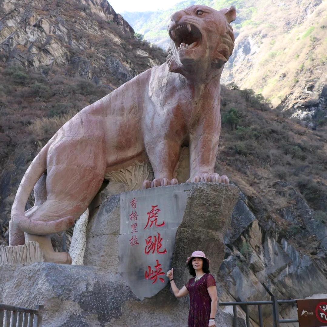 陈年瑞雪