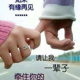 带你心飞