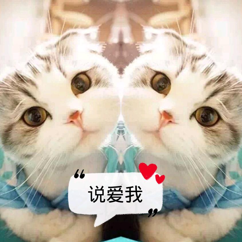 稚子岂敢言勇