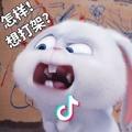 飞飞飞飞飞