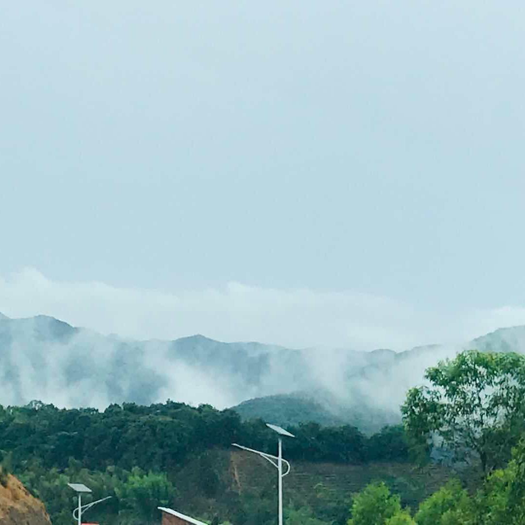 小弟