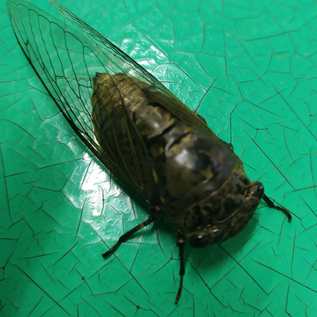 @🌈中中中中中🌈