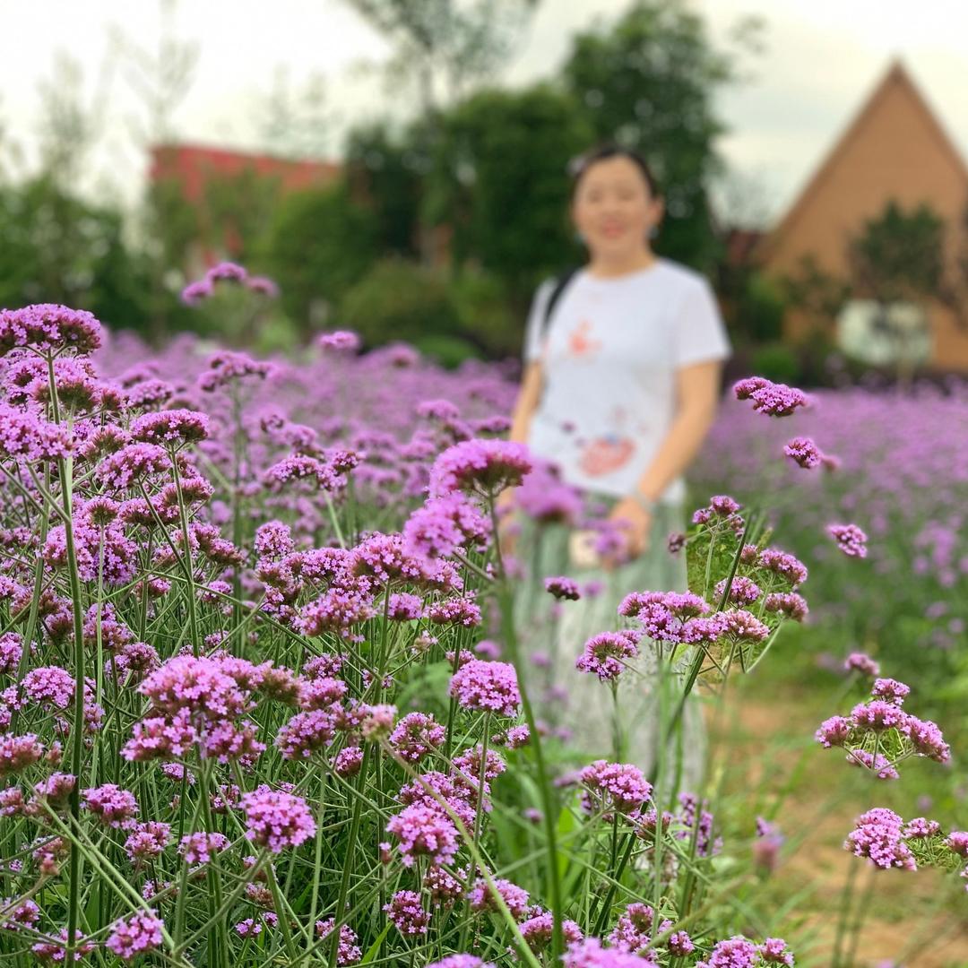 安徽恒安泰特种管汇有限公司