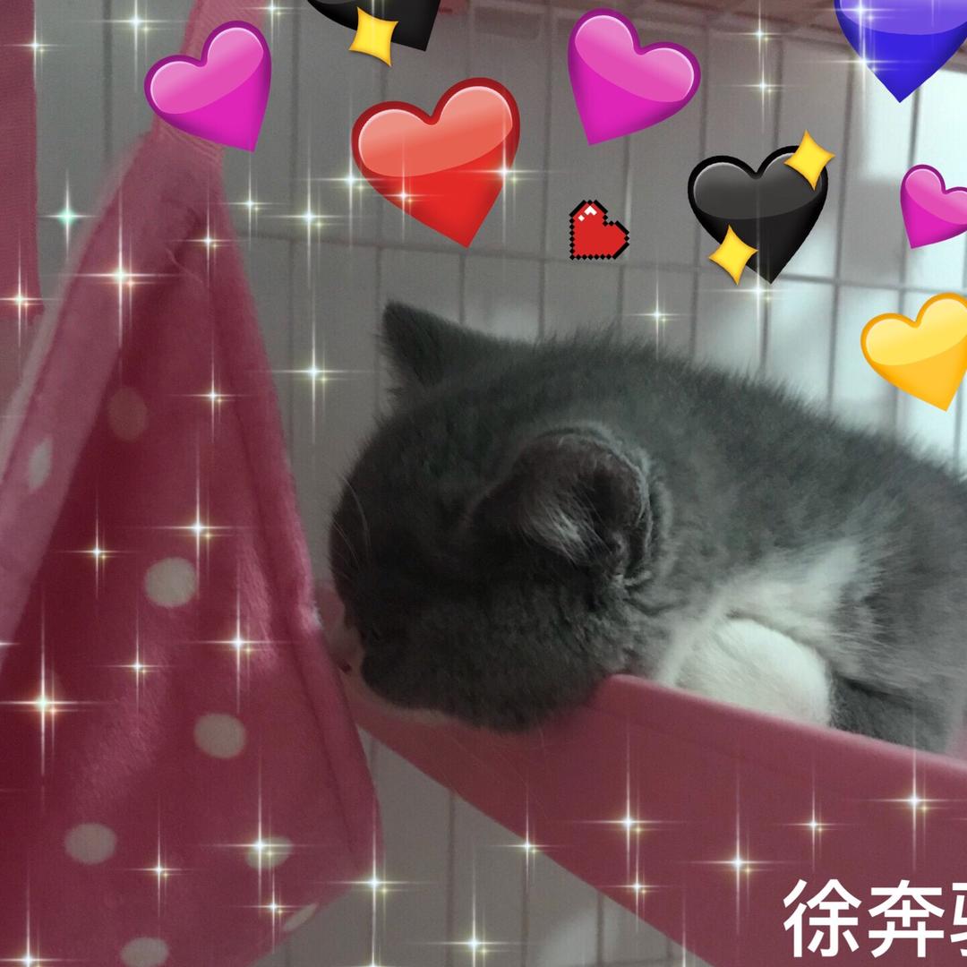 徐奔驰（被下一个台风举报禁发作品30天版