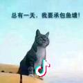 抖音智力缺陷人士收治中心