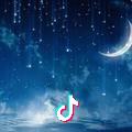 月亮和流星雨