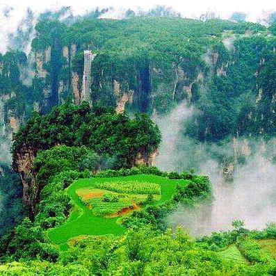 张家界金龟子旅游服务