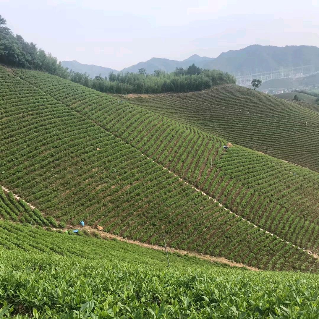 相濡以沫