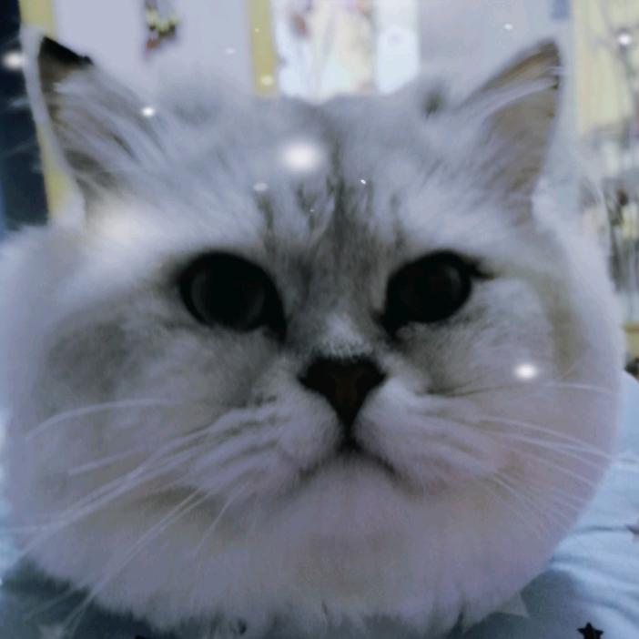 ꧁꫞꯭不꯭变꯭的꯭我꯭꫞꧂