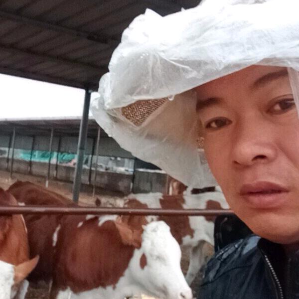 收牛🐮小张