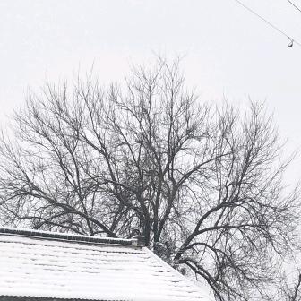 河豚鱼（私厨上门）