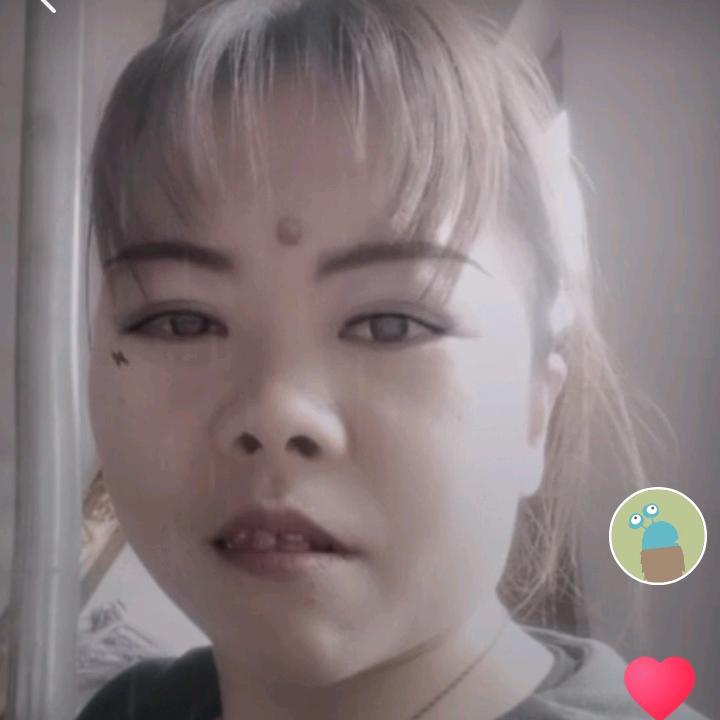 柿柿如意（拒绝连赞）