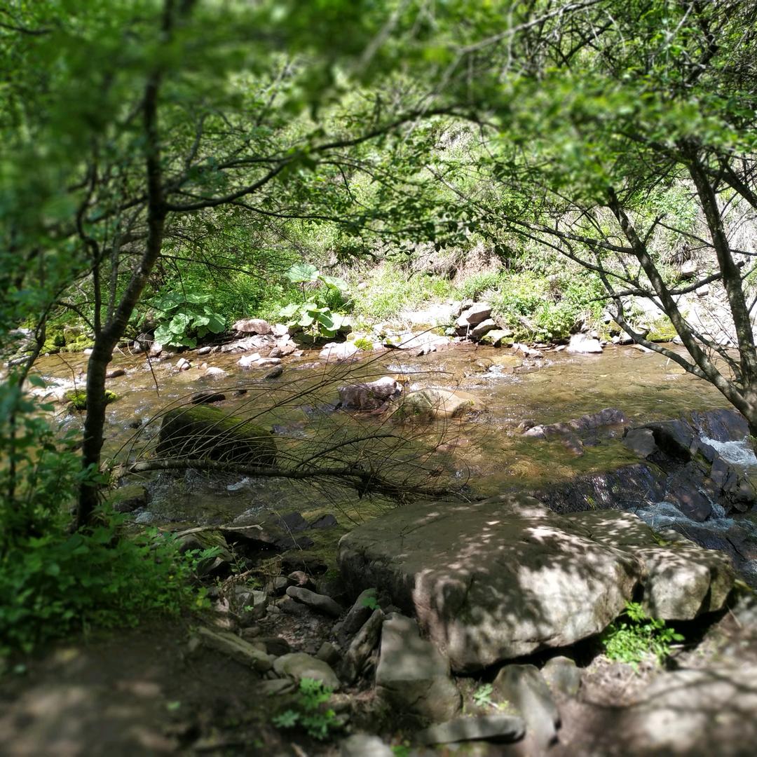说走就走的旅行