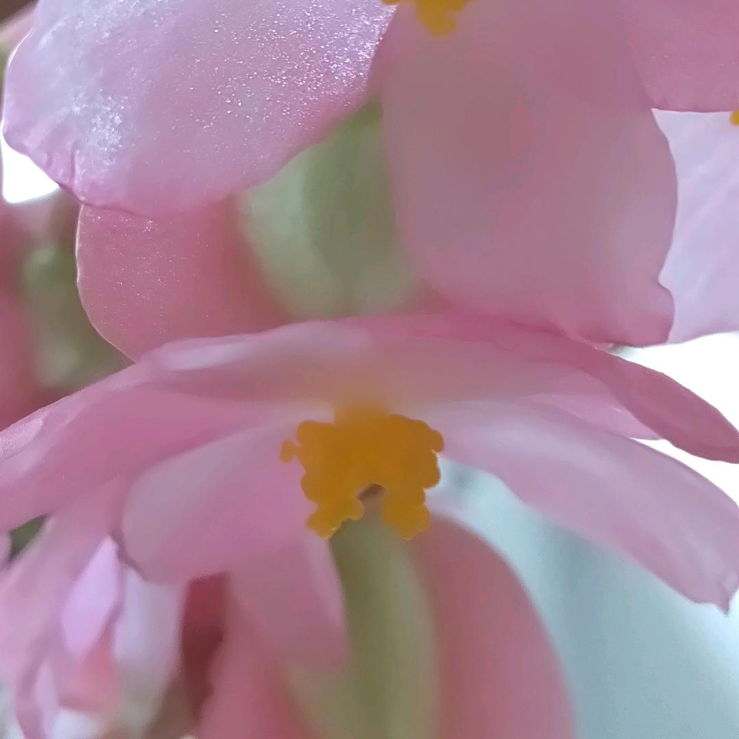星辰