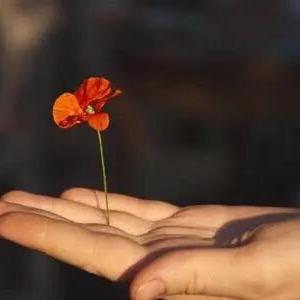 人生像雾里看花