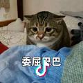 小妮儿233745914