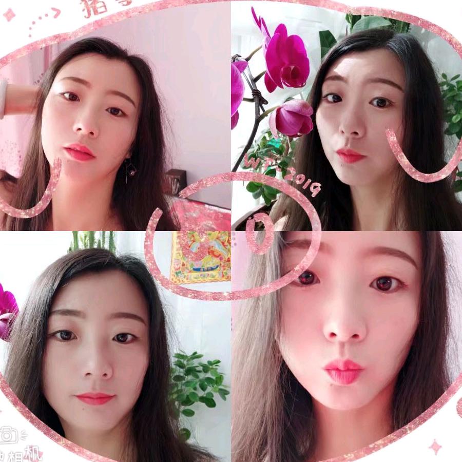 燕儿飞