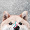 略略略