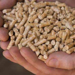 刘兆祥@生物质燃料