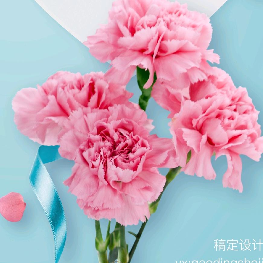 一尘不染