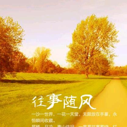 @往事随风·羽峰