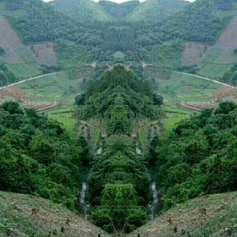 李尚网来
