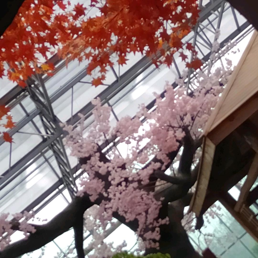 高金荣