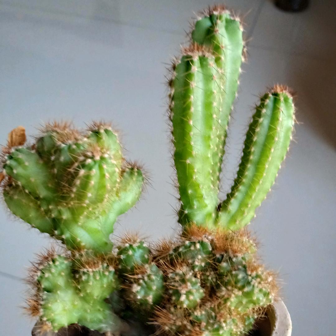 伙伴