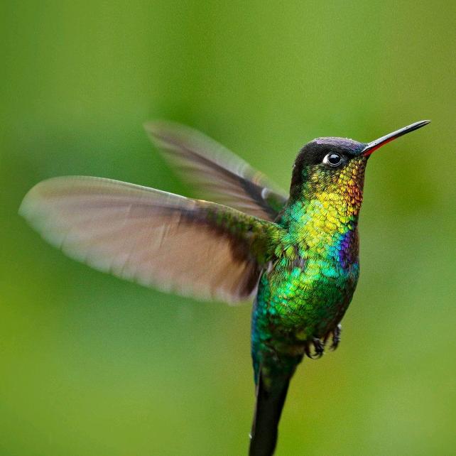 我想静静(请勿连赞，谢谢)