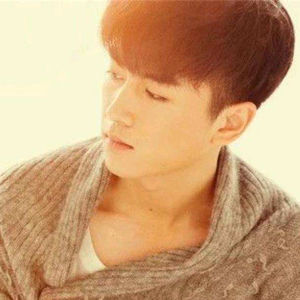 此生不悔入华夏