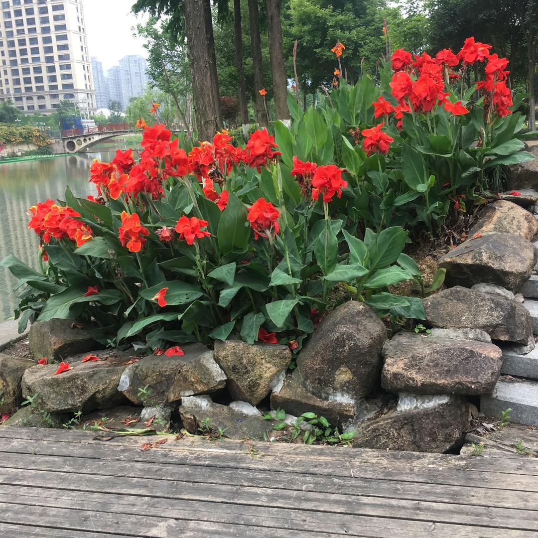 知足常乐：网约车司机