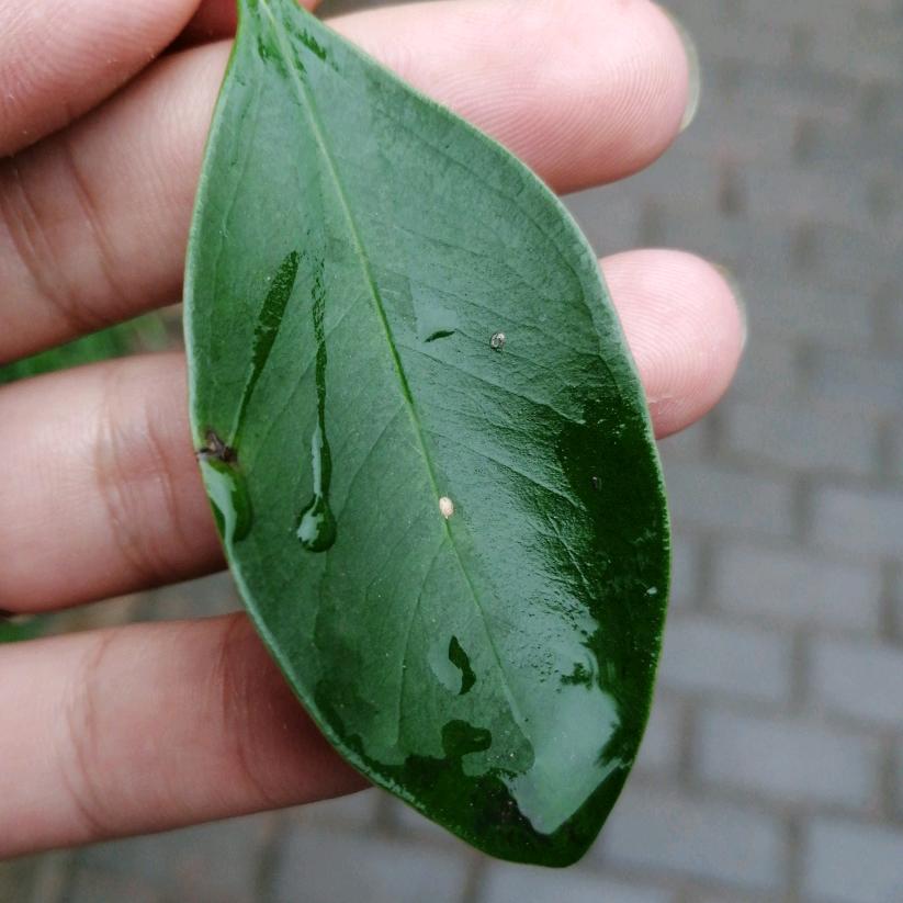 我们