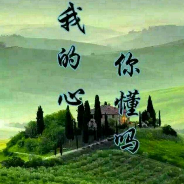 气宇非凡是慧根