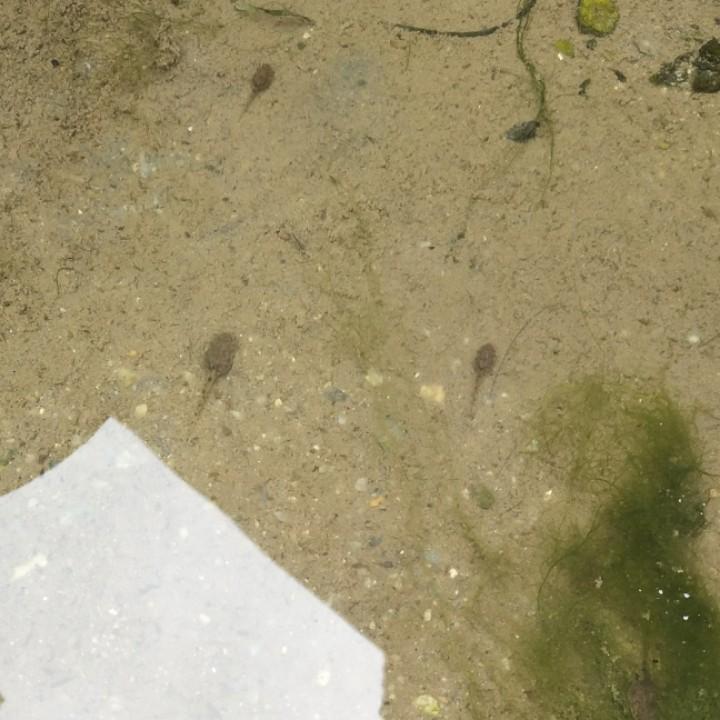 一直在路上