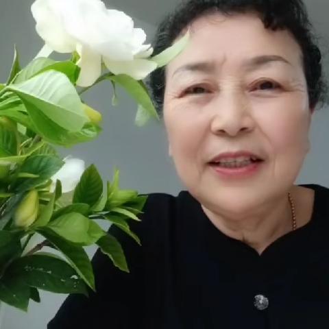 励志夕阳