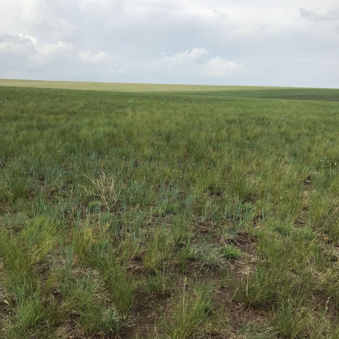 二...............宝